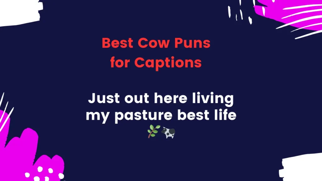 Best Cow Puns for Captions