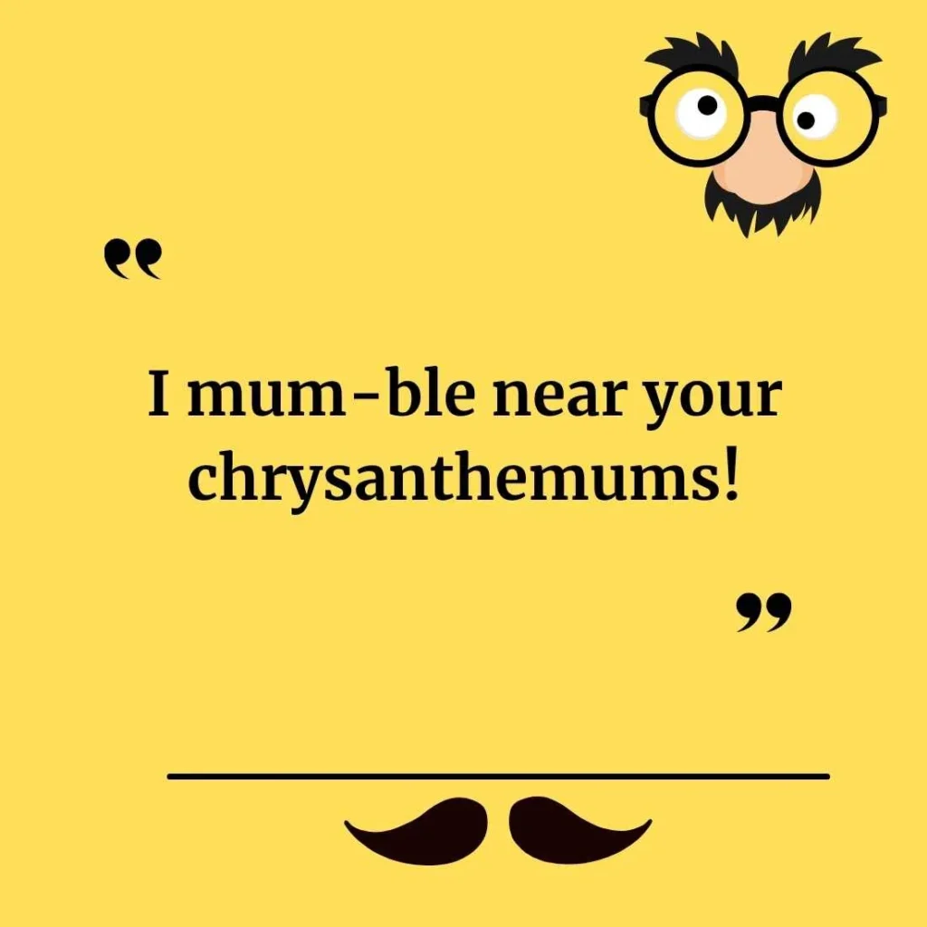 Chrysanthemum Puns