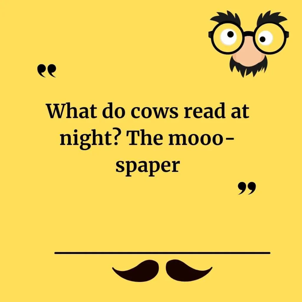 Cow Jokes Puns
