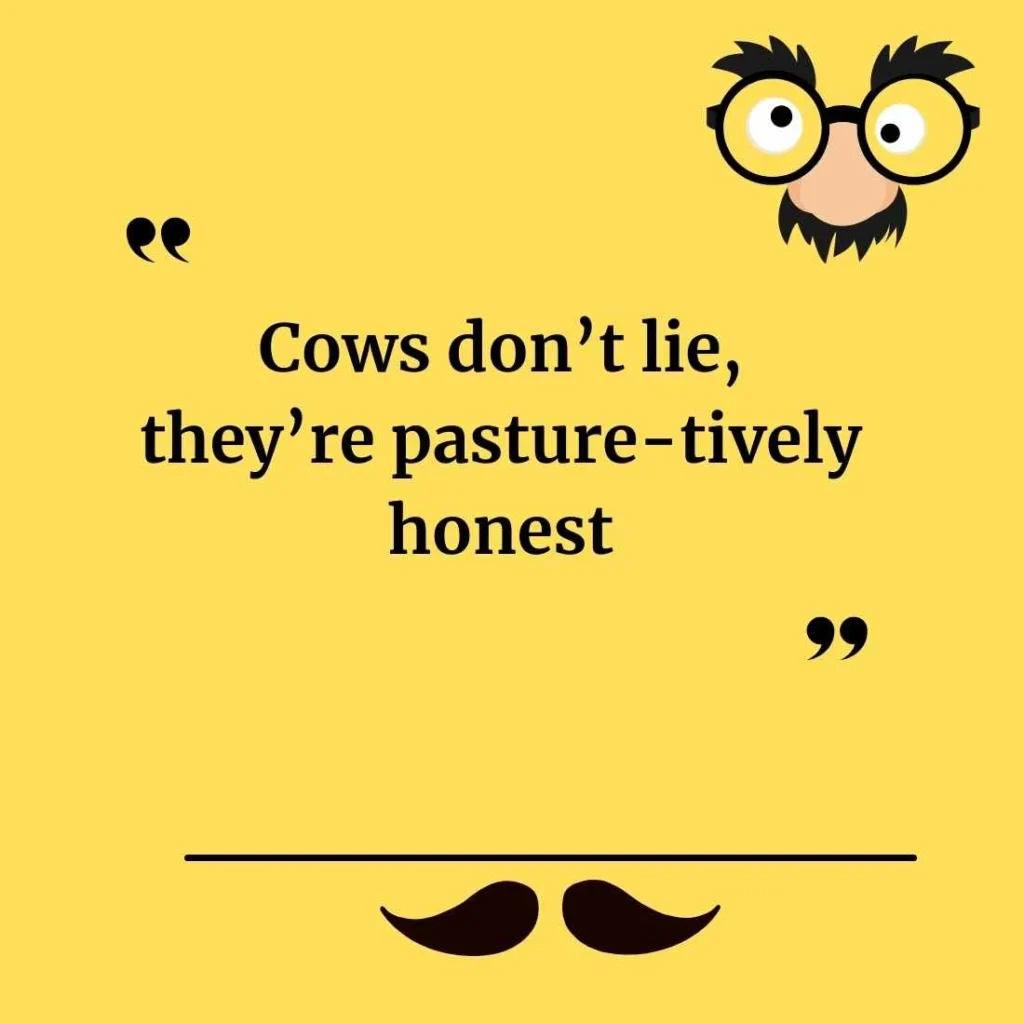 Cow Puns One Liners