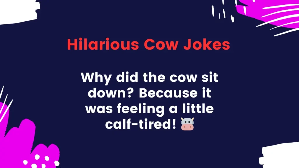 Hilarious Cow Jokes