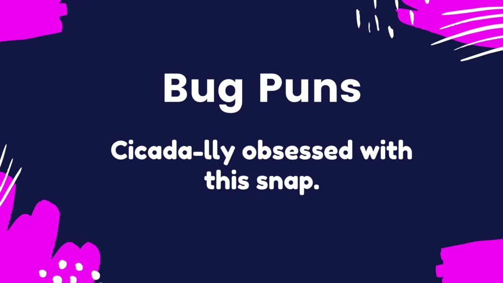 Best Bug Puns