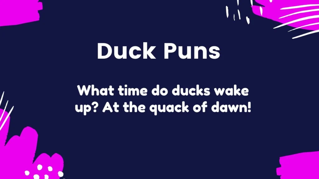 Best Duck Puns for Captions