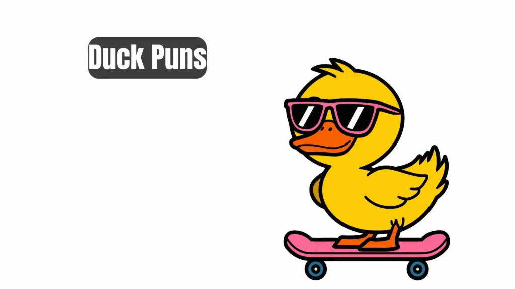 Duck Puns One-Liners