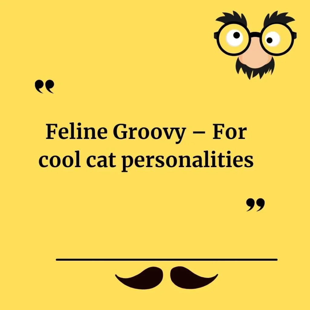 Fun & Creative Pun Names You’ll Love