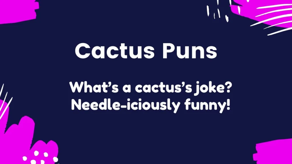 Funny Cactus Puns for Jokes