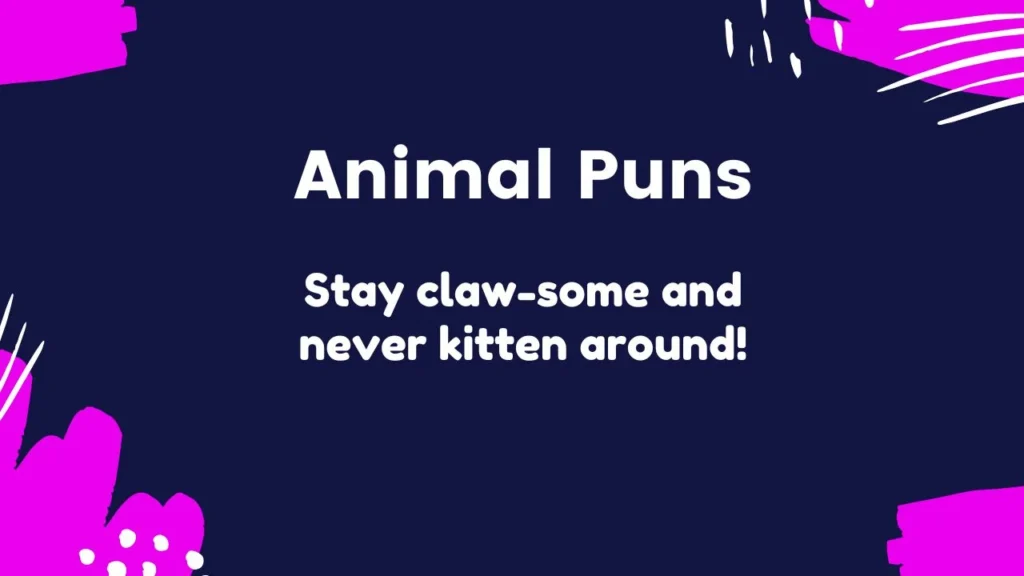 Funny Cat Puns to Make You Purr