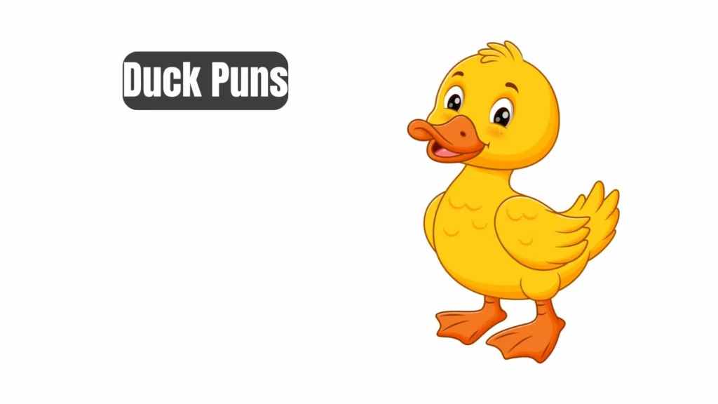 Funny Duck Jokes