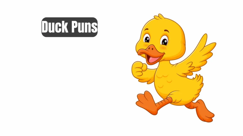Funny Duck Puns for Instagram