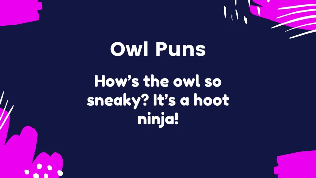 Funny Owl Puns for Jokes