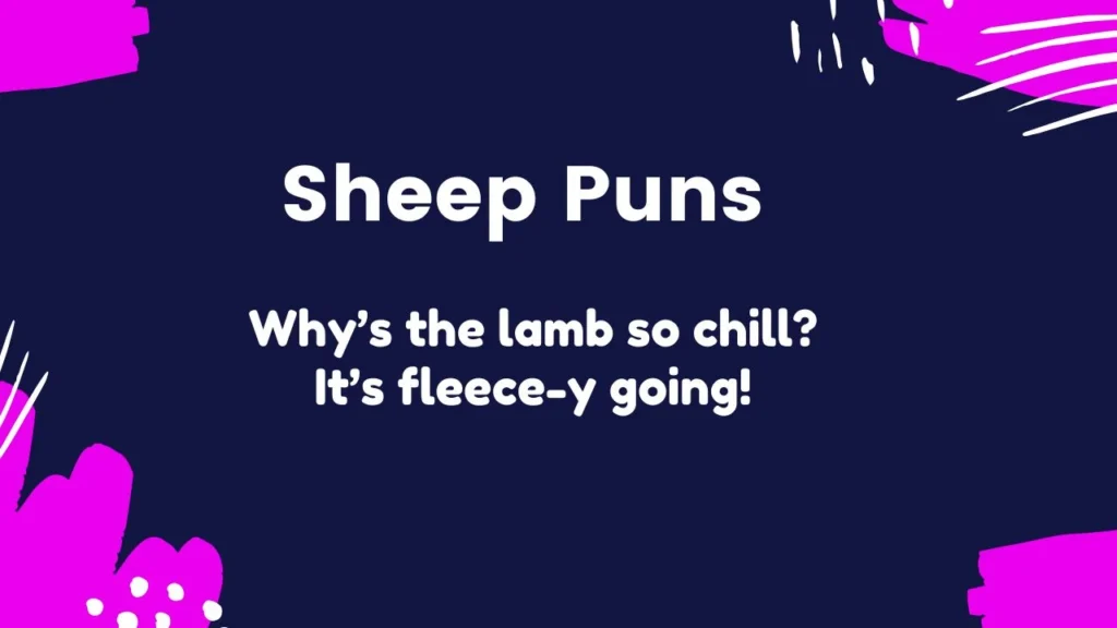 Funny Sheep Puns for Jokes