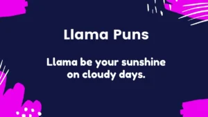 Read more about the article 336 Best Llama Puns to Keep the Mood Alpaca-tastic 2025