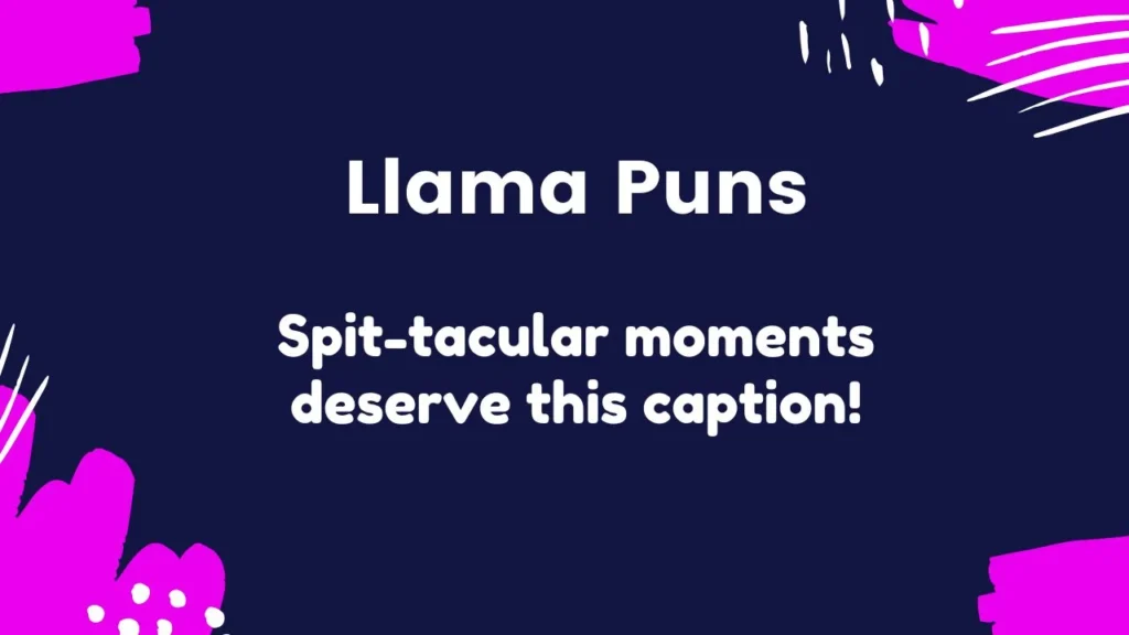 Llama Puns for Instagram Captions