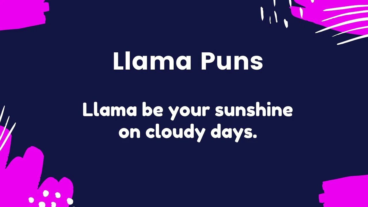 You are currently viewing 336 Best Llama Puns to Keep the Mood Alpaca-tastic 2025