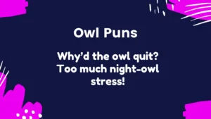 Read more about the article 267 Clever Owl Puns 🦉to Make Your Day a Hoot 2025