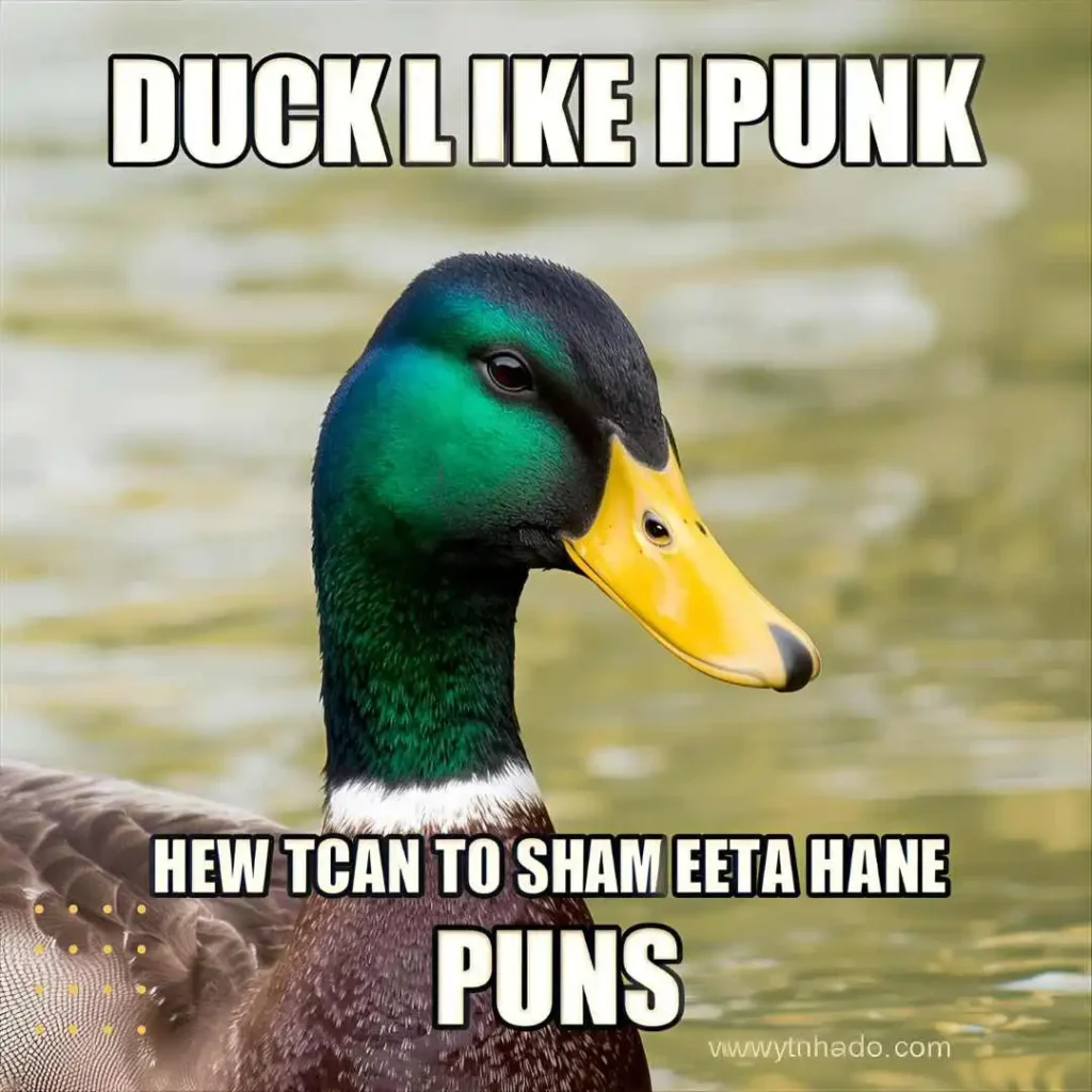 Puns About Ducks