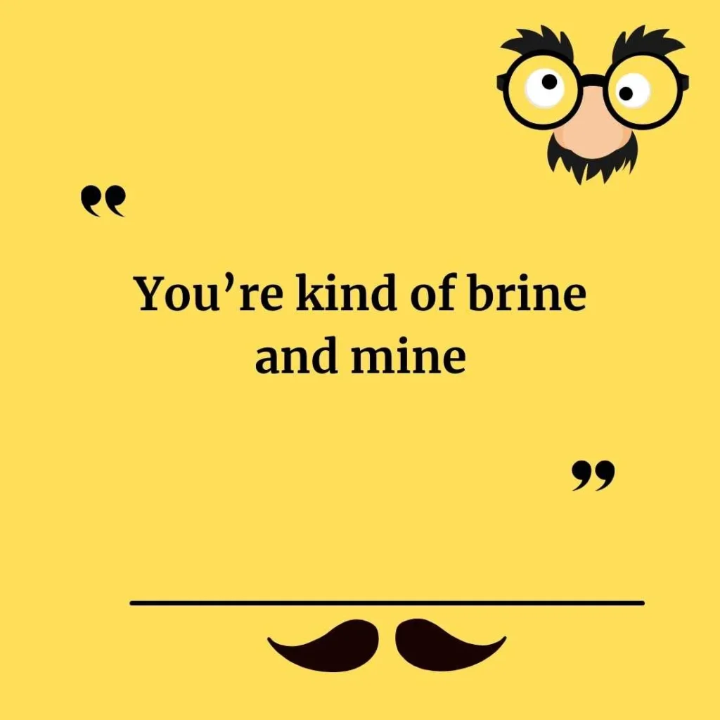 Puns About Pickles