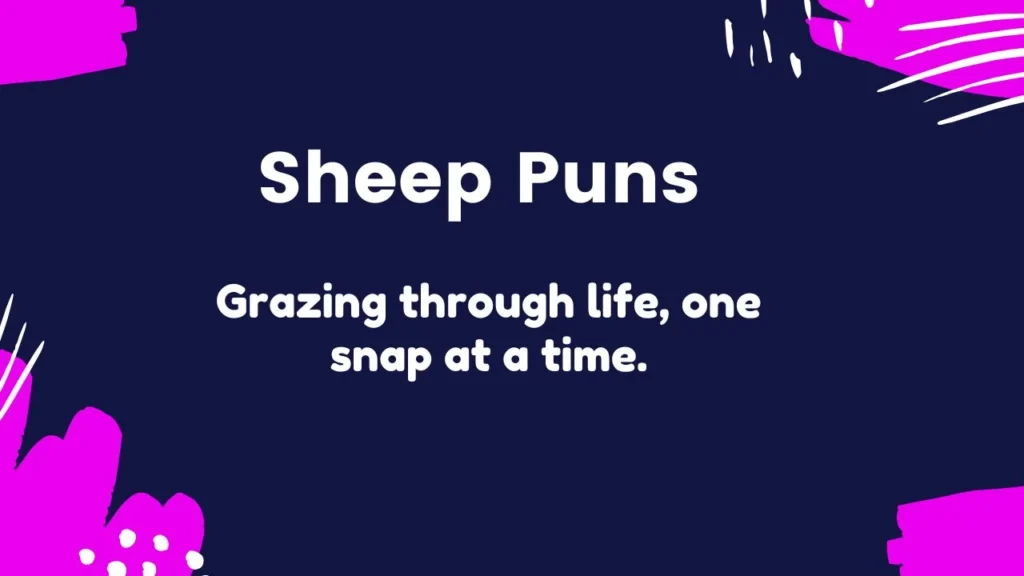 Sheep Puns for Instagram Captions