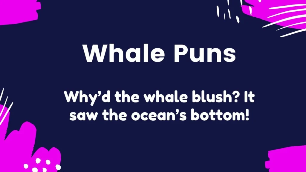 Whale Puns for Instagram Captions