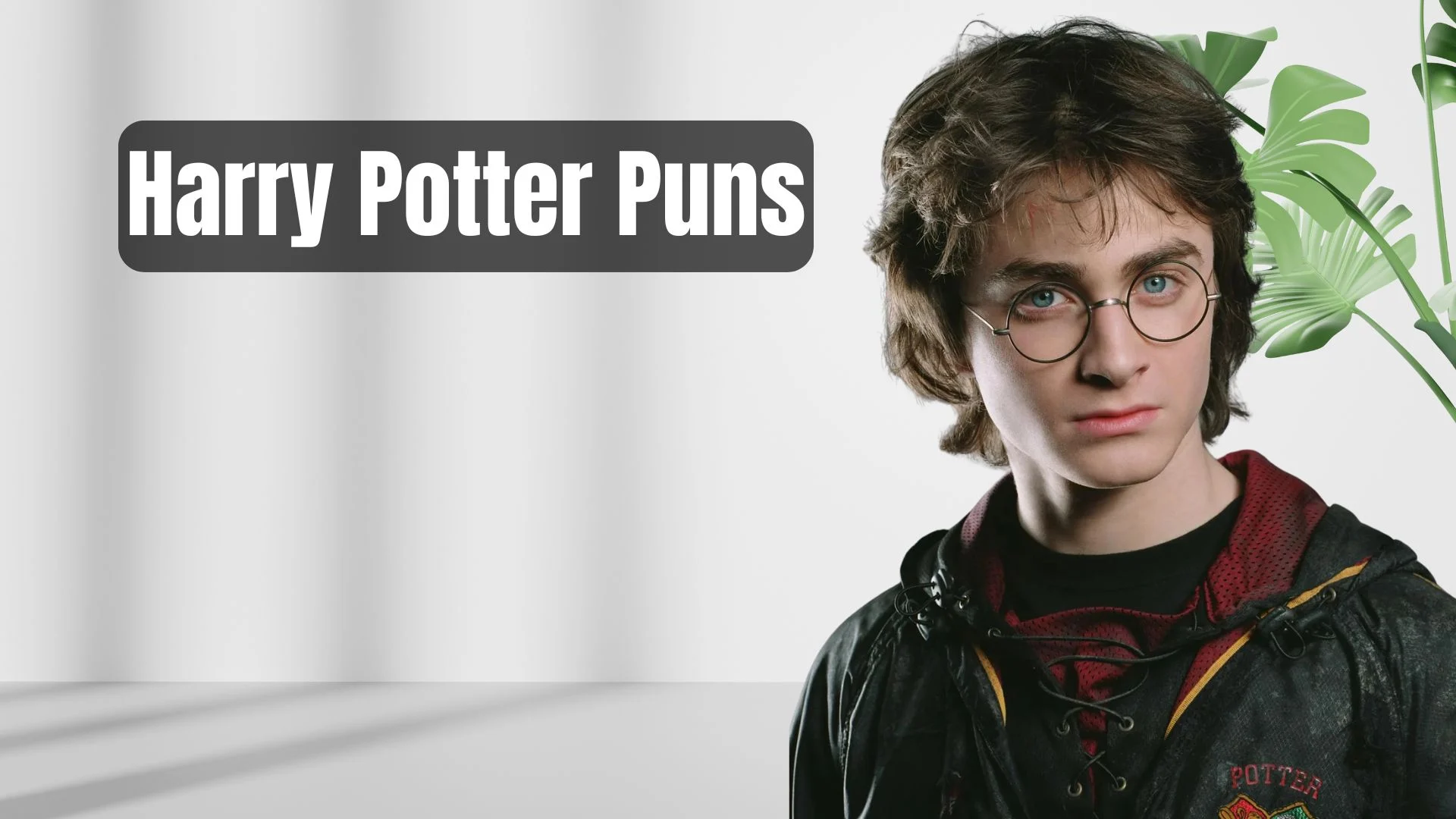 You are currently viewing 351 Clever Harry Potter Puns for Muggles and Magic-Lovers Alike 2025