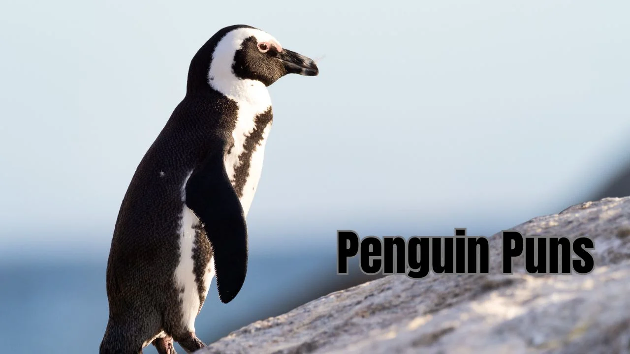 You are currently viewing 294 Hilarious Penguin Puns That’ll Break the Ice Instantly 2025