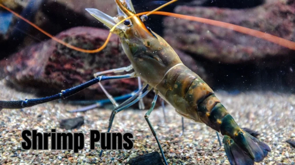 301 Hilarious Shrimp Puns to Add Some Sizzle to Your Day 2025