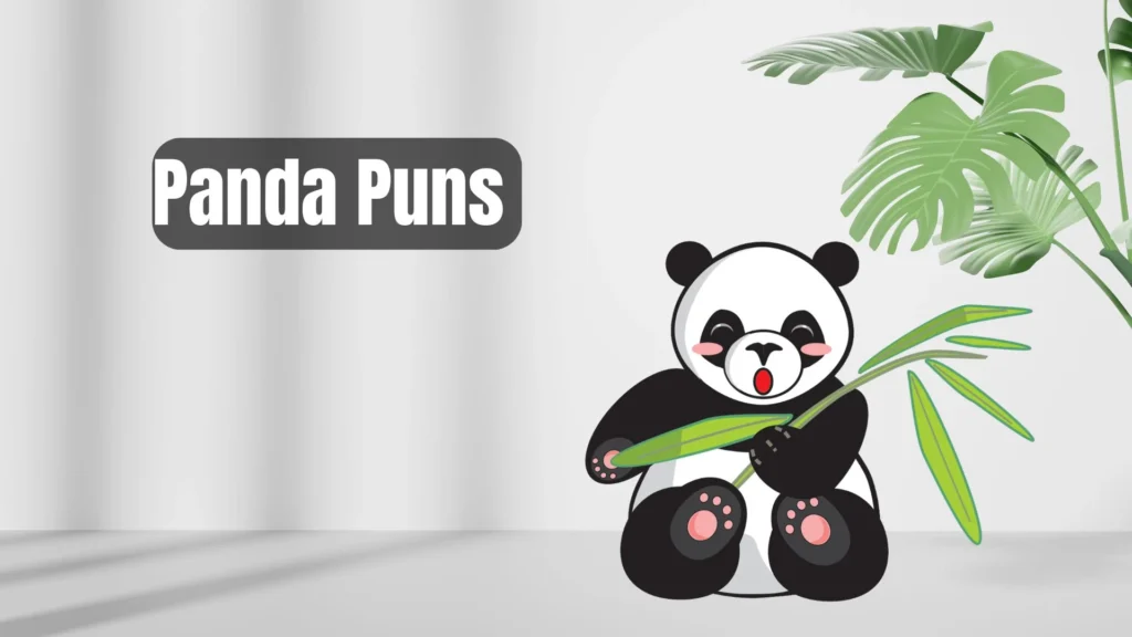 Best Panda Puns
