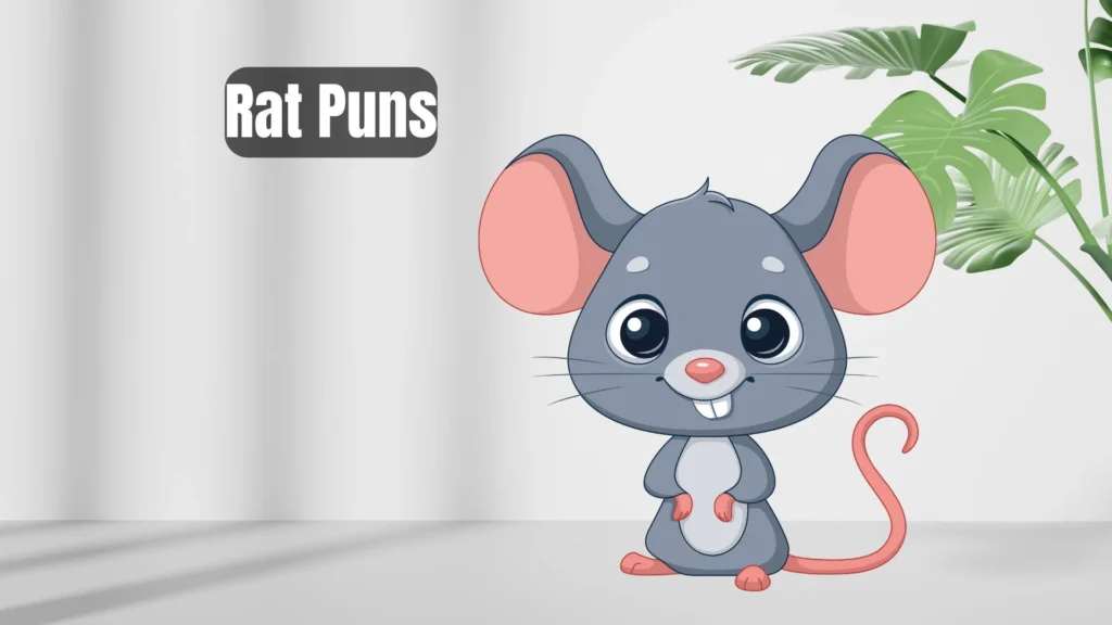 Best Rat Puns