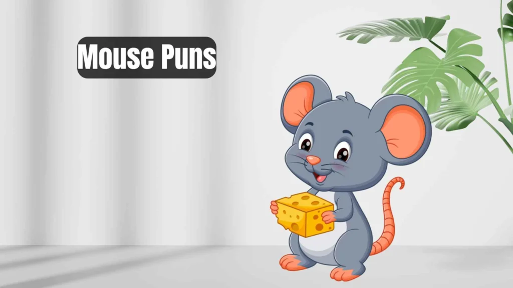 Funny Mouse Puns for Jokes
