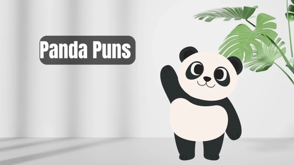 Funny Panda Puns for Jokes