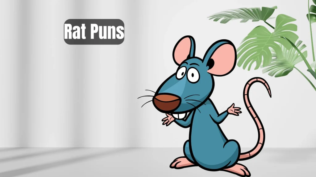 Funny Rat Puns for Jokes