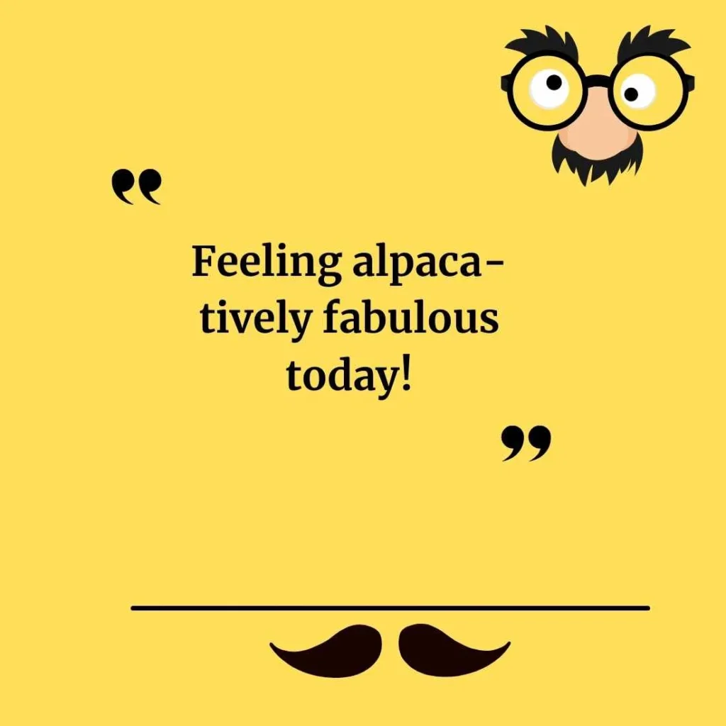 Alpaca Puns for Instagram