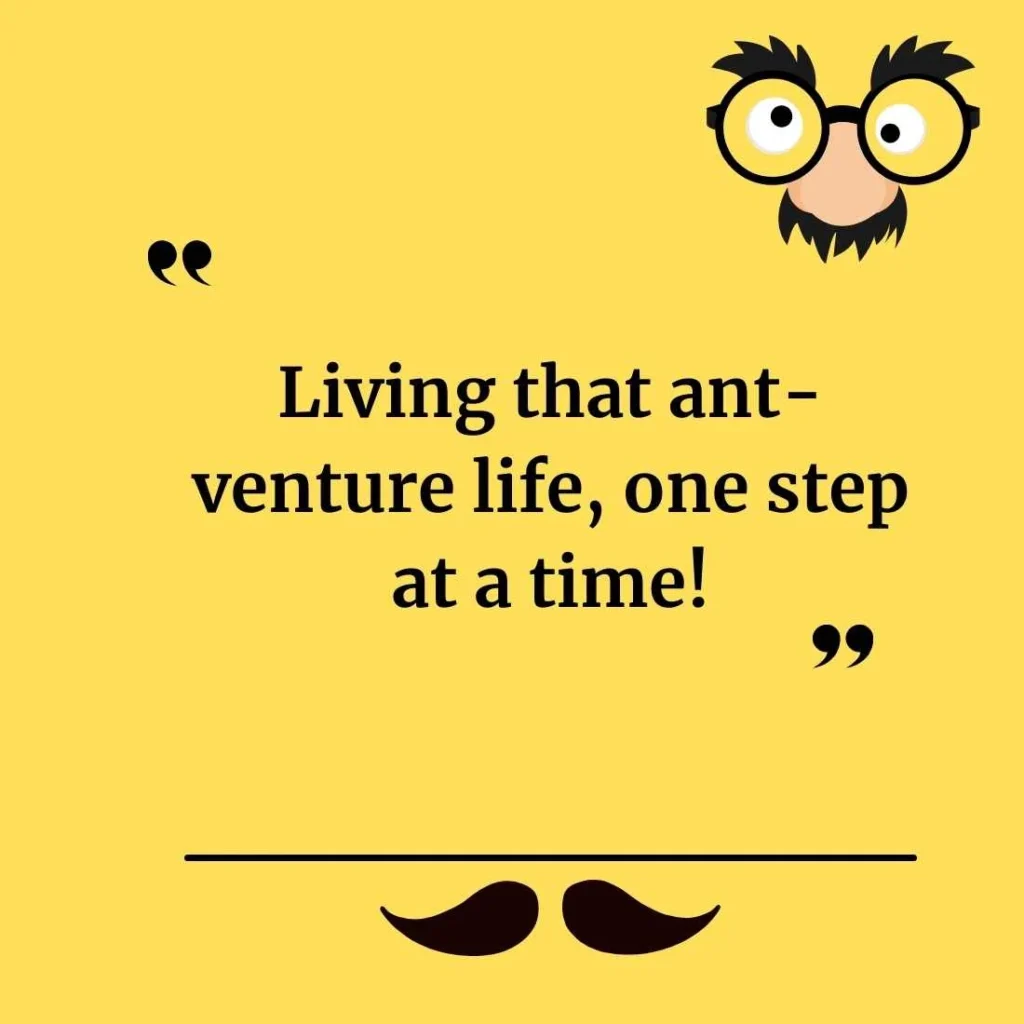 Ant Puns for Instagram Captions
