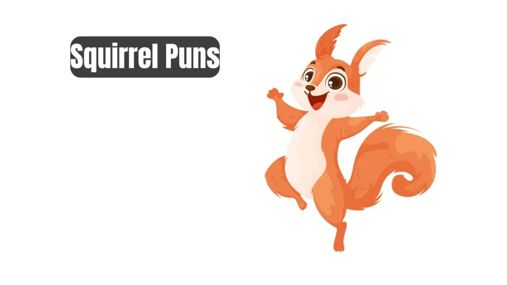 Best Squirrel Puns