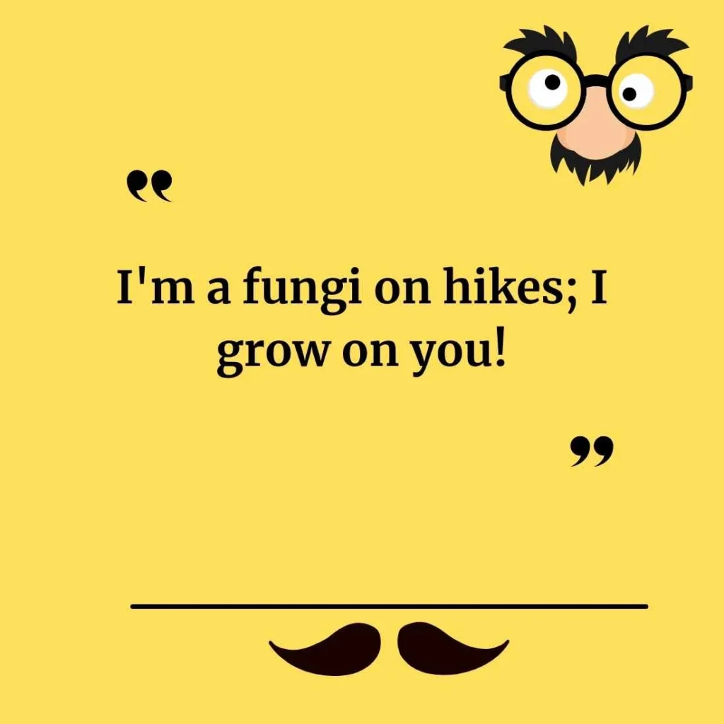 Clever Hiking Puns