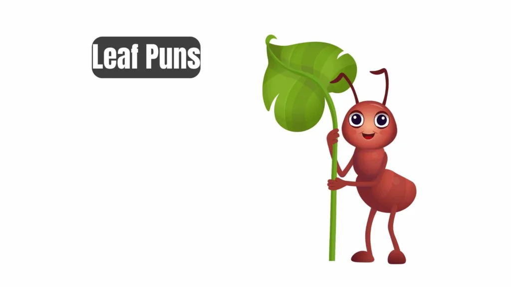 Clever Leaf Puns for Captions