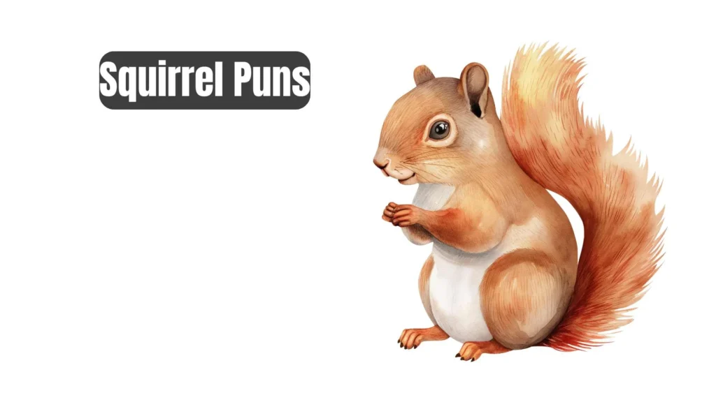 Clever Squirrel Puns