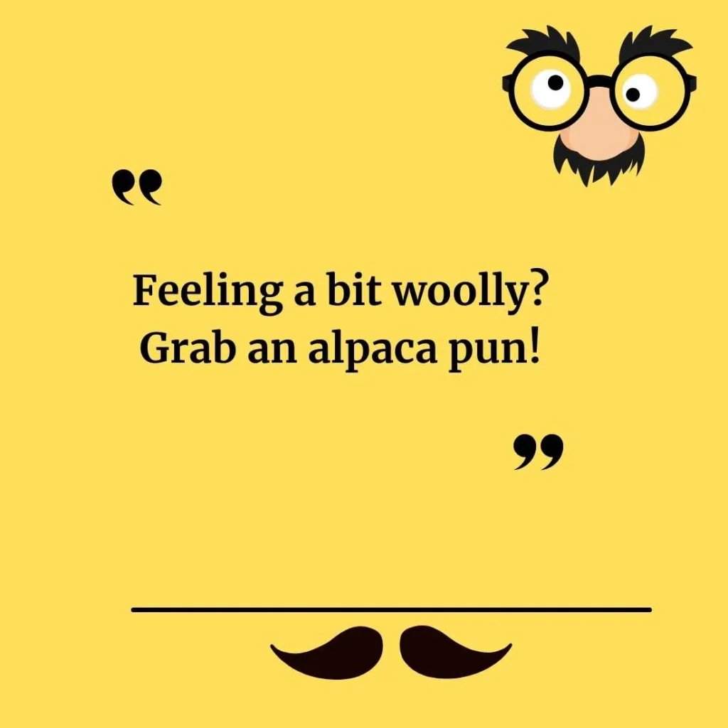 Funny Alpaca Puns for Captions