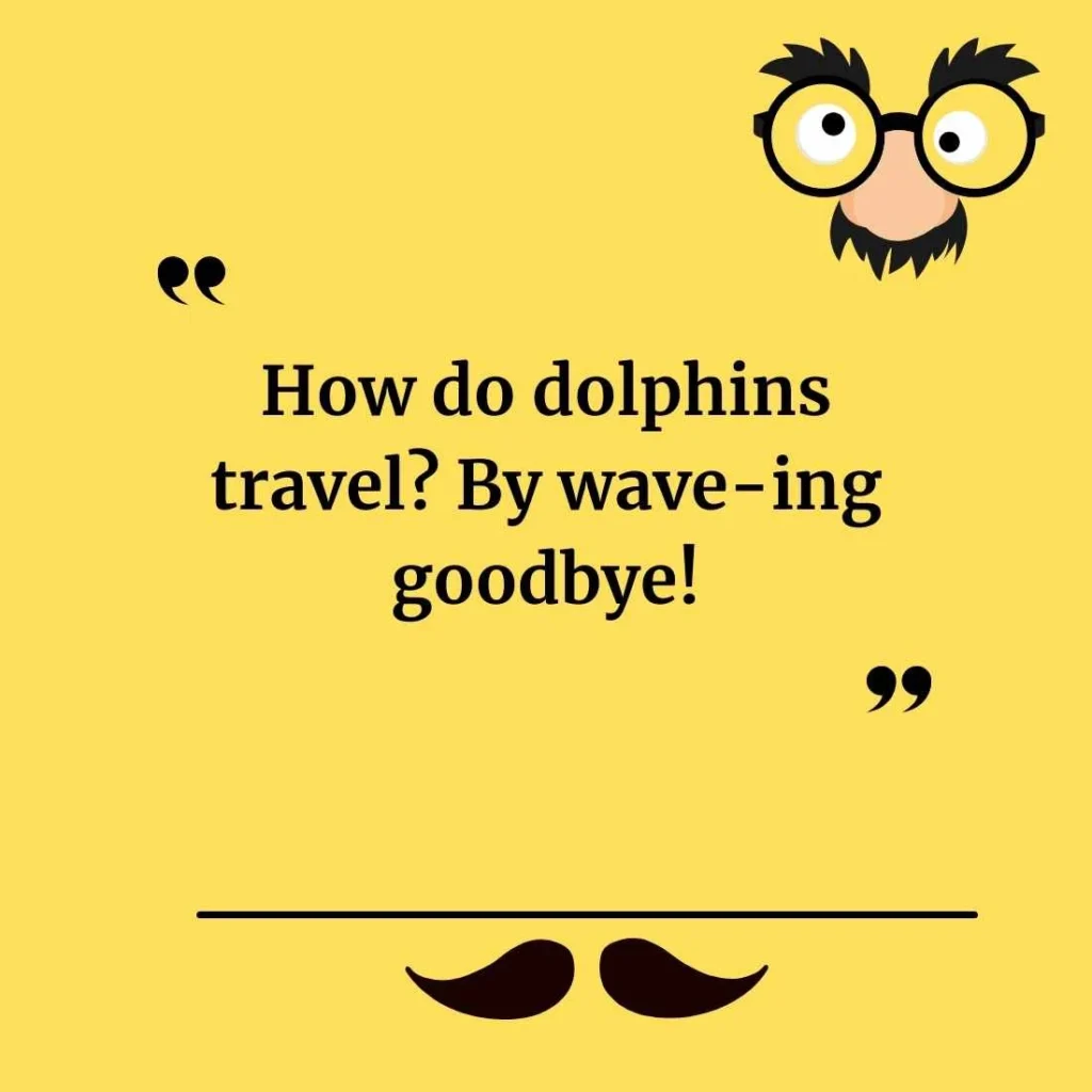 Funny Dolphin Jokes