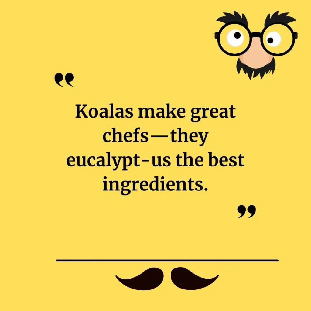 Funny Koala Puns