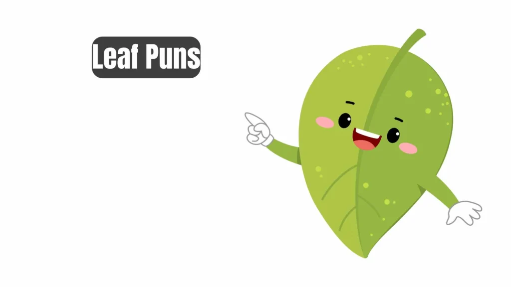 Funny Leaf Puns