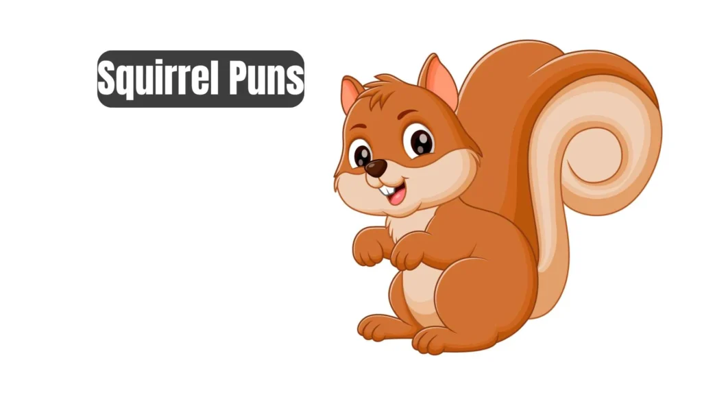 Funny Squirrel Puns
