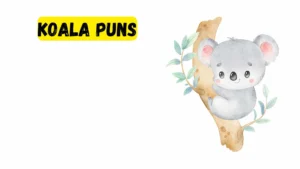 Read more about the article 563 Trending Koala Puns 2025