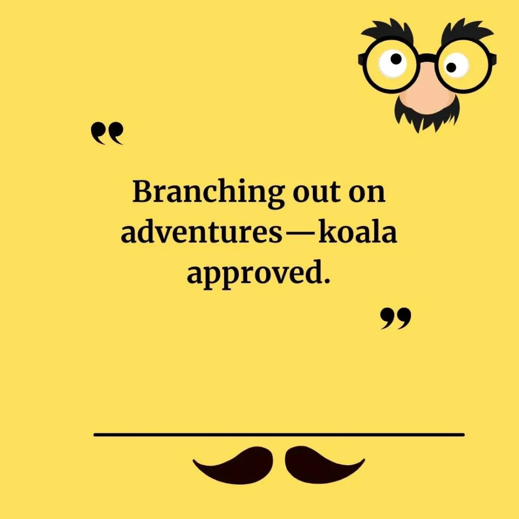 Koala Puns for Instagram Captions
