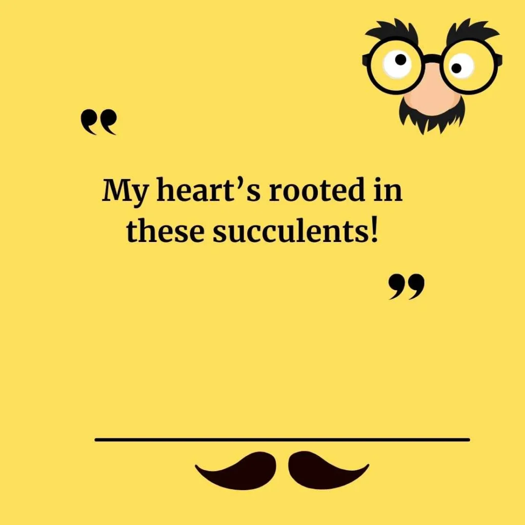 Cute Succulent Puns for Instagram Captions