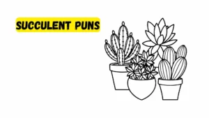 Read more about the article 482 Best Succulent Puns 2025