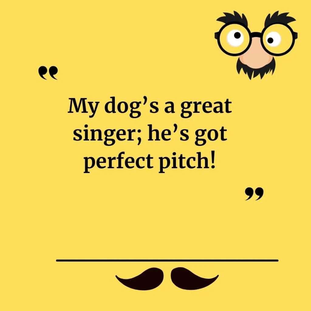 What Are Some Funny Puns for Everyday Use?