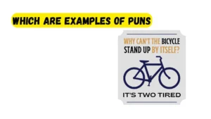 Read more about the article 327 Which Are Examples of Puns 2025