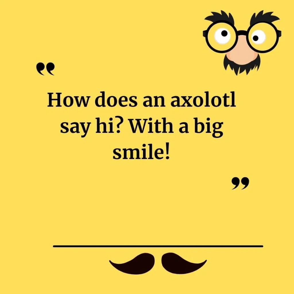 Axolotl Jokes for Kids