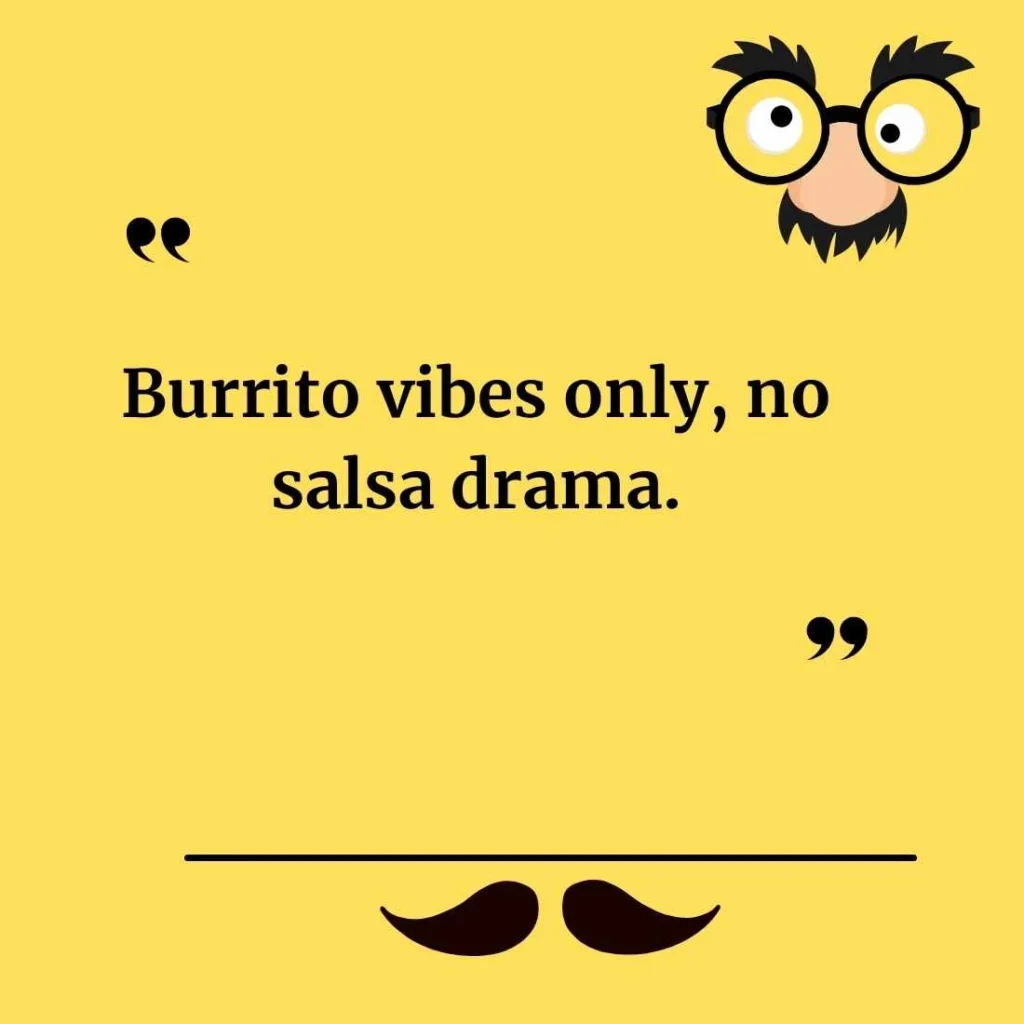 Burrito Puns for Instagram Captions